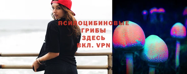 СК Абдулино