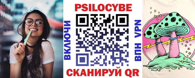 маркетплейс наркотические препараты  где купить наркоту  Химки  Галлюциногенные грибы Psilocybe 