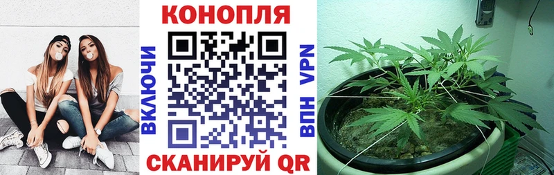 Каннабис Bruce Banner  Химки 